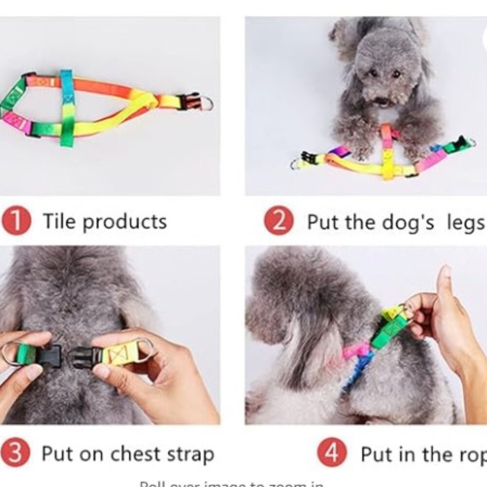 New Colorful Dog Collar, leash & Harness set For Large dogs - Picture 3 of 4
